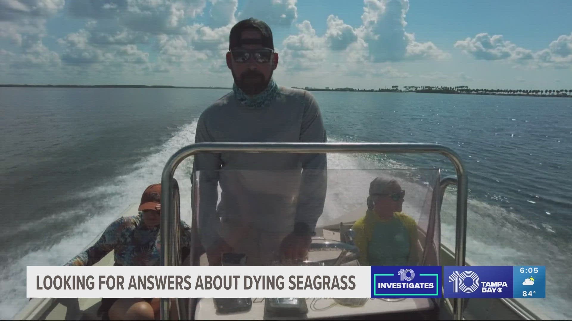 Last year alone, there was less than half the amount of seagrass that was mapped in Old Tampa Bay in 2018. That's why researchers are trying to figure out the cause.