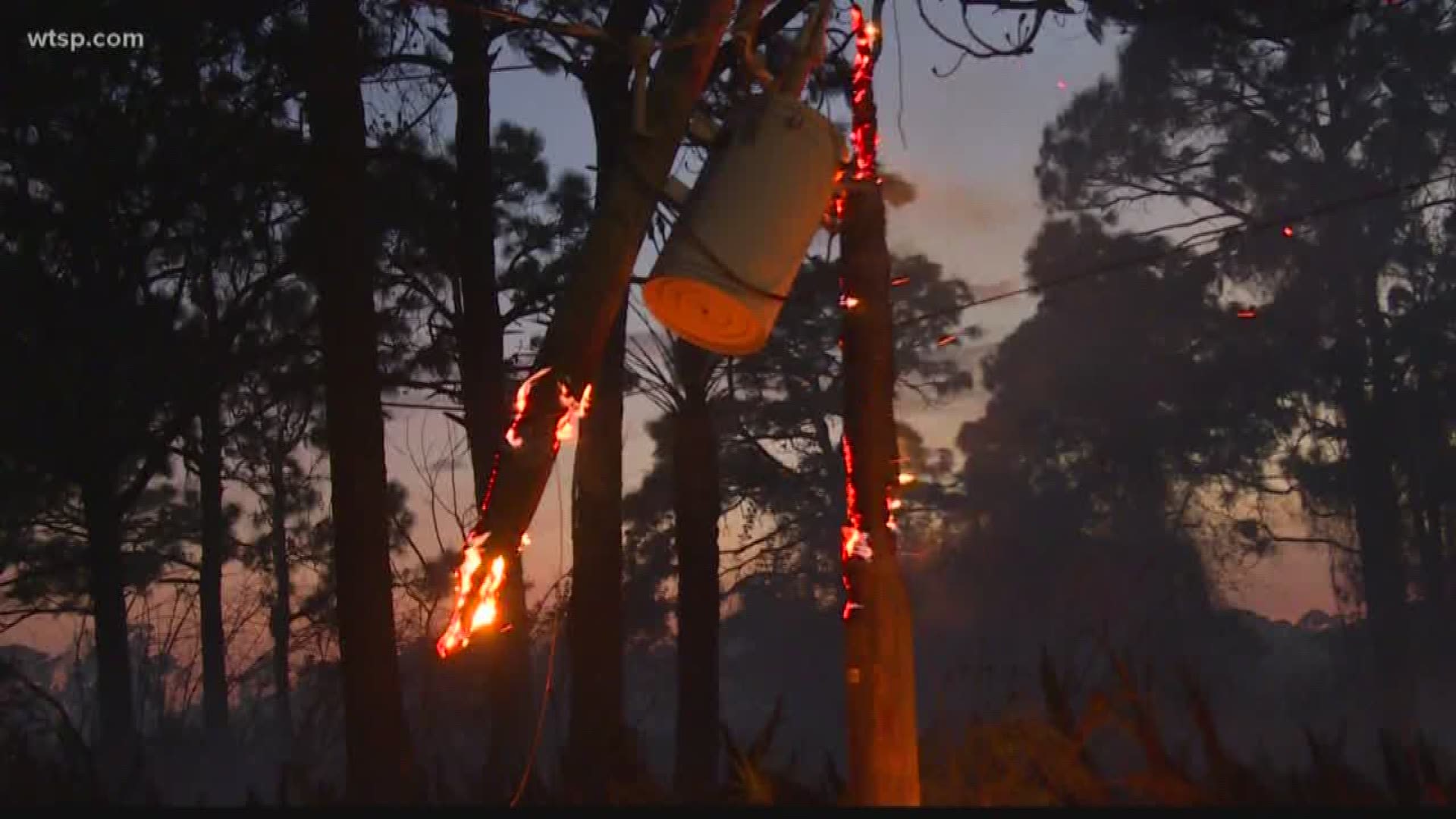 The fire burned more than 200 acres between Sarasota and Fort Myers in the Sands of Placida neighborhood.