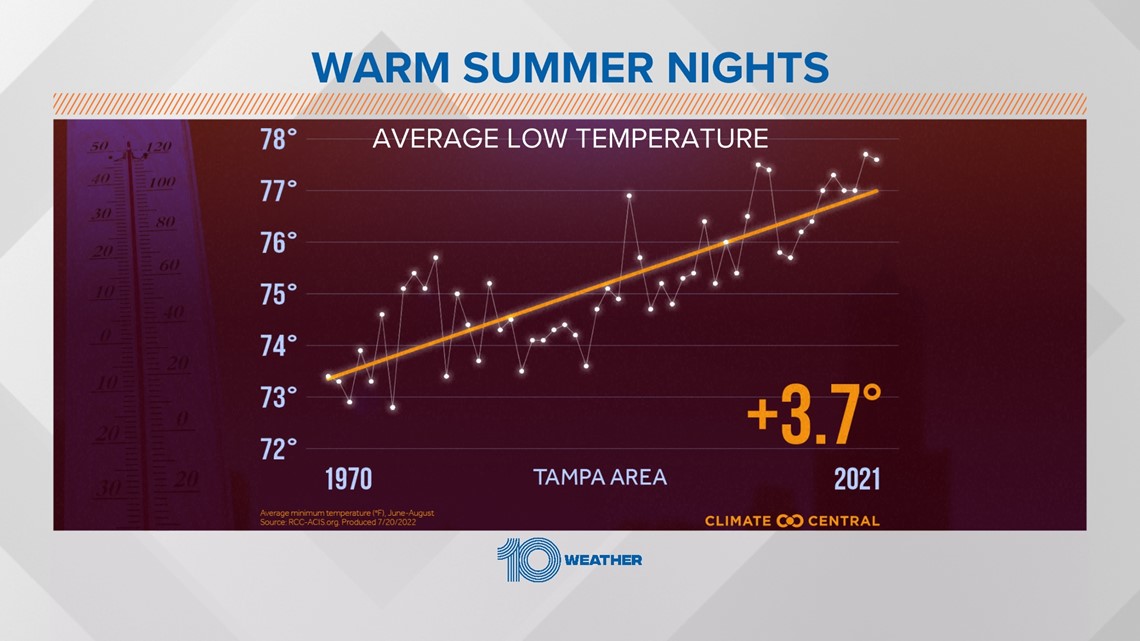 Tampa Bay's 'Rays' Hot Season Continues… – Smoky Now