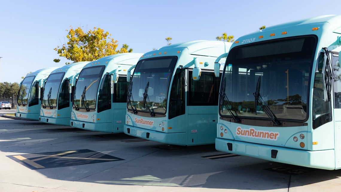 Clearwater Beach spring breakers can ride for free on PSTA - Vimarsana News