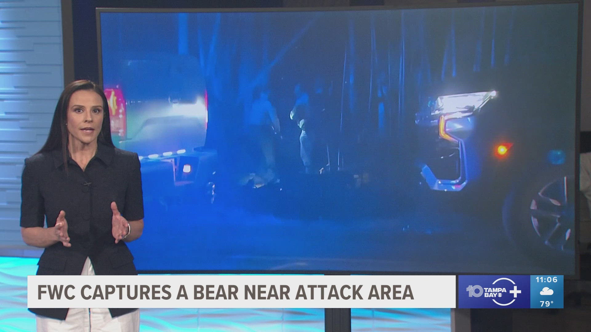 DNA samples from the bears have been sent to a lab for testing to determine if any of the animals killed 89-year-old Robert Markel.