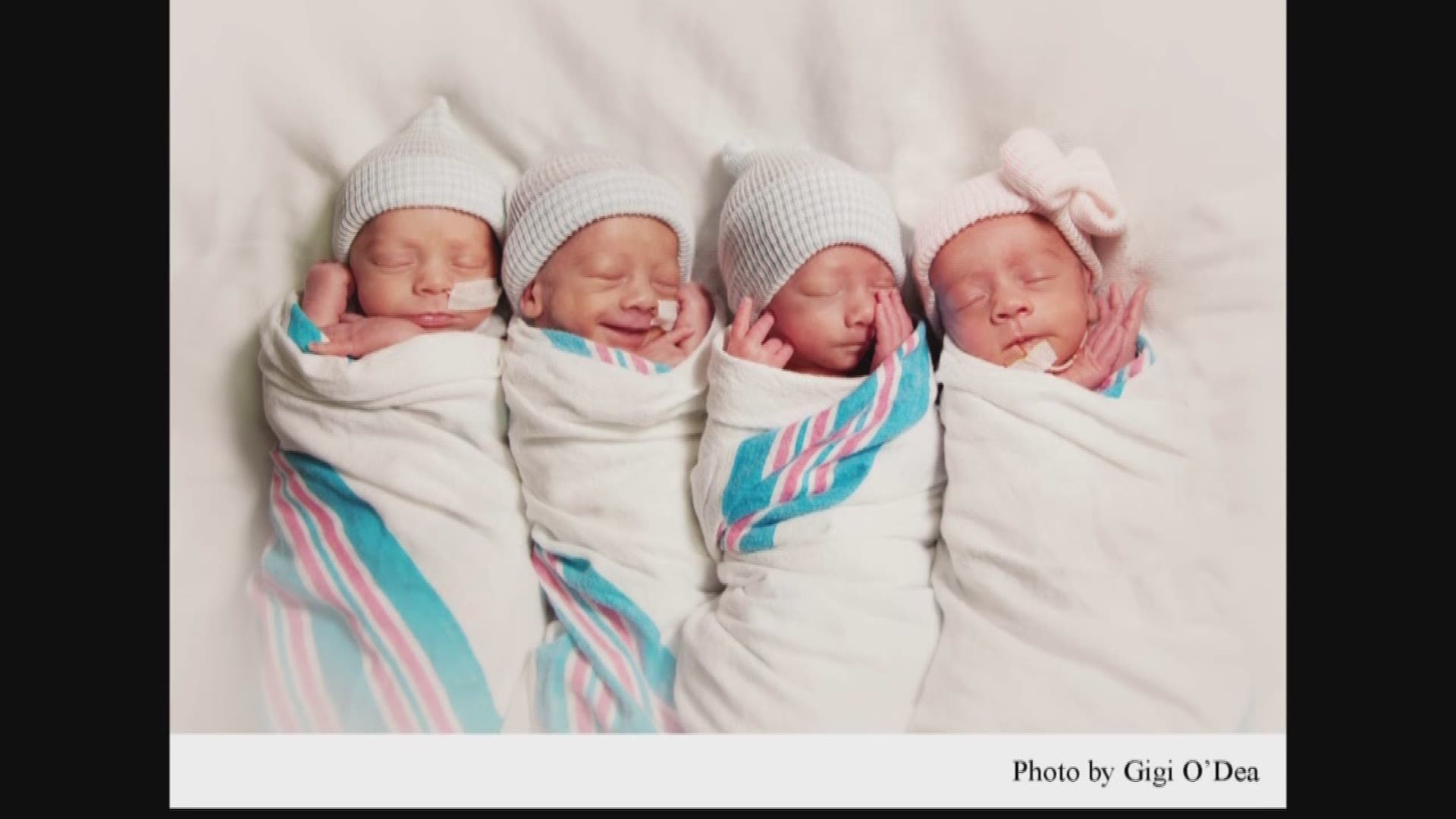 Sarasota Couple Deliver Naturally Conceived Quadruplets, 3 Boys And A ...