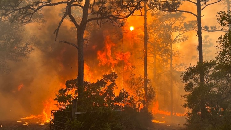 Right Gate fire spreads across 650 acres in Polk County but is largely contained