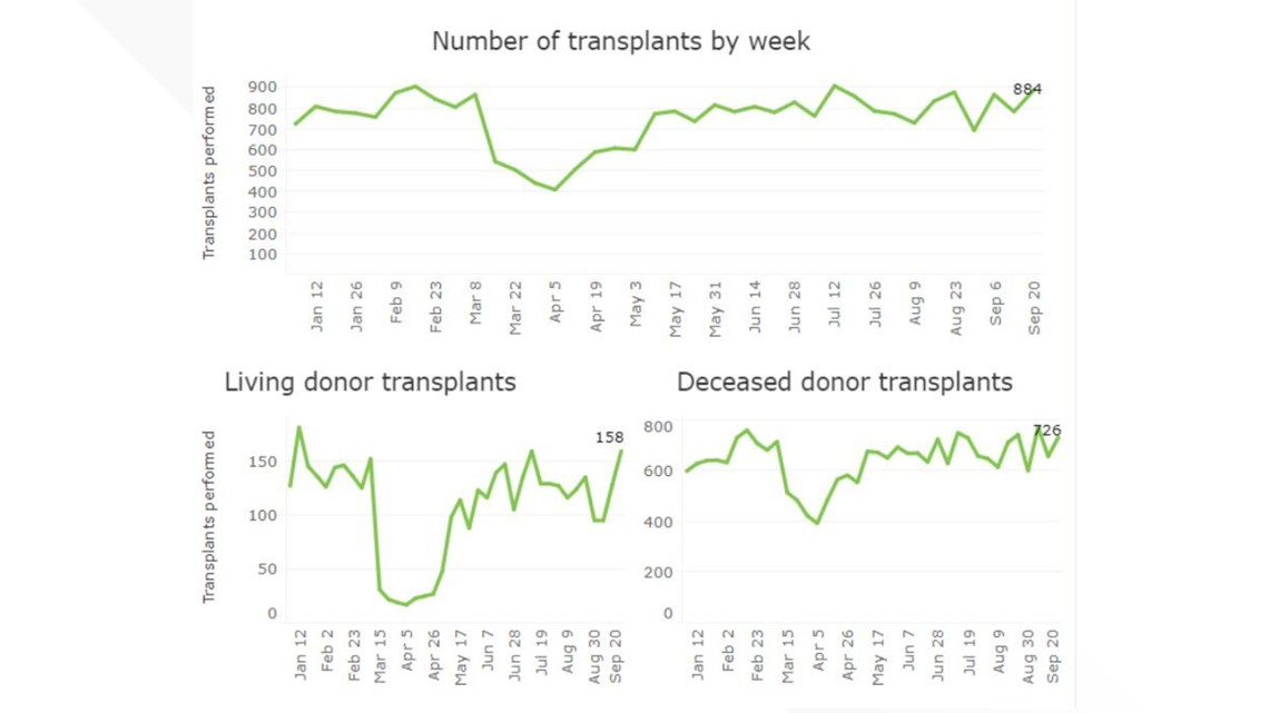 Coronavirus Is Affecting Organ Transplants Wtsp Com