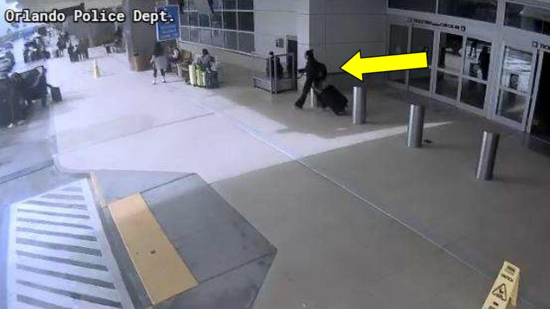 Florida woman drowned dog in airport bathroom after denied boarding ...