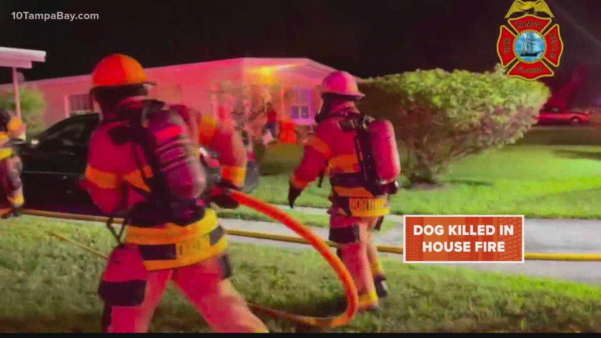 Everyone was able to exit the home, however, the homeowner said the dog was still inside.