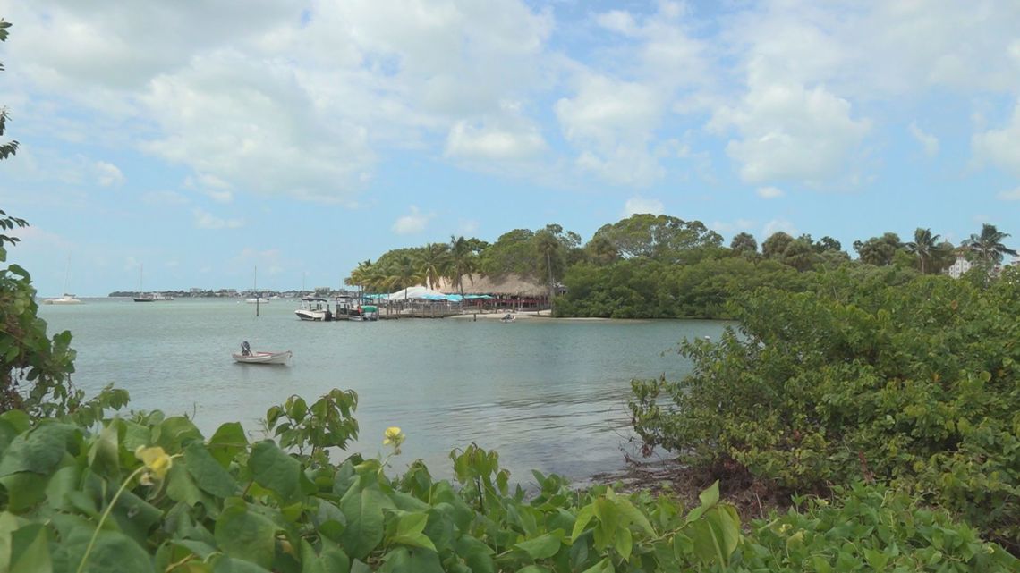 Sarasota Bay faces water quality concerns after Debby | wtsp.com