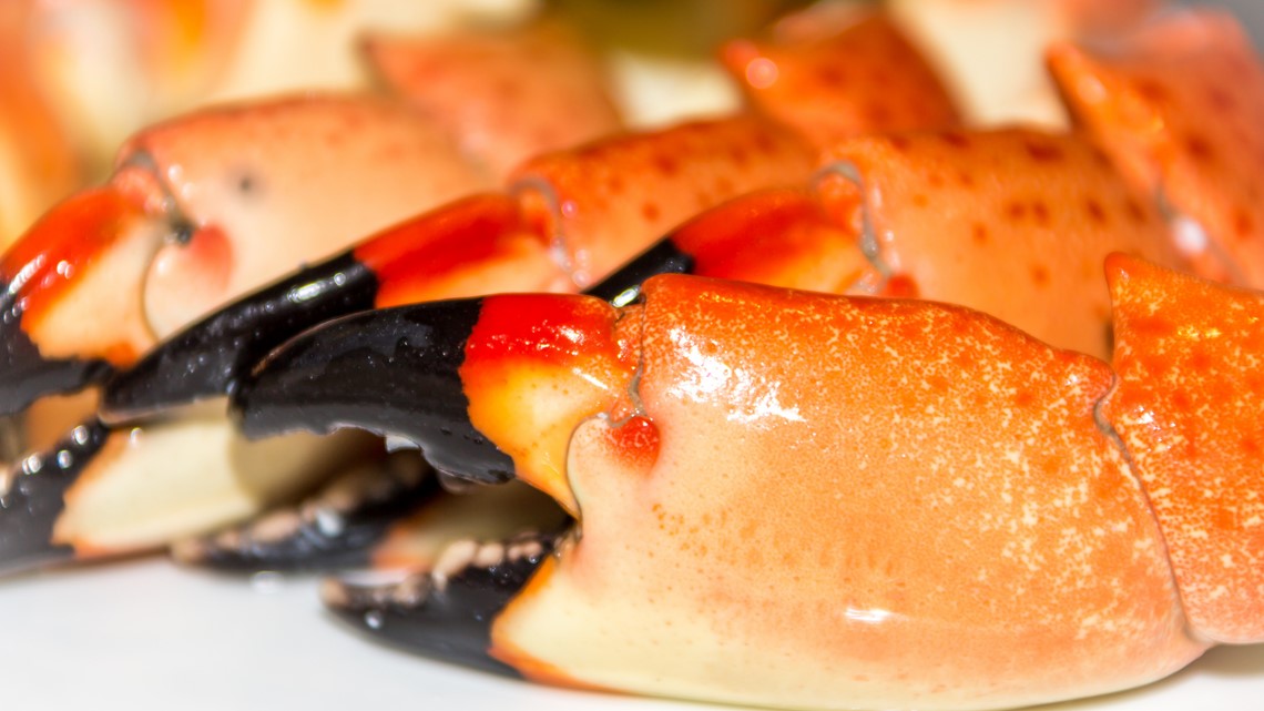Scientists study impact of acidification on stone crab habitat wtsp com Scientists study impact of acidification on stone crab habitat wtsp com