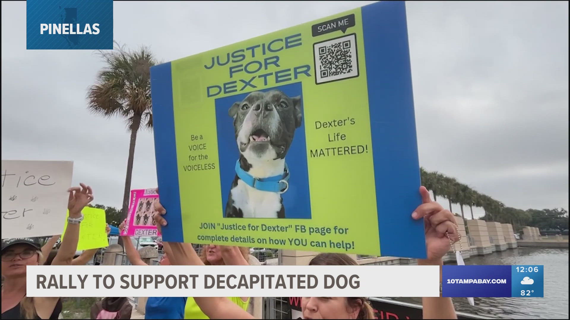 A rally was held this morning outside the courthouse where there was a hearing in the case of a man who allegedly killed the dog after adopting him.