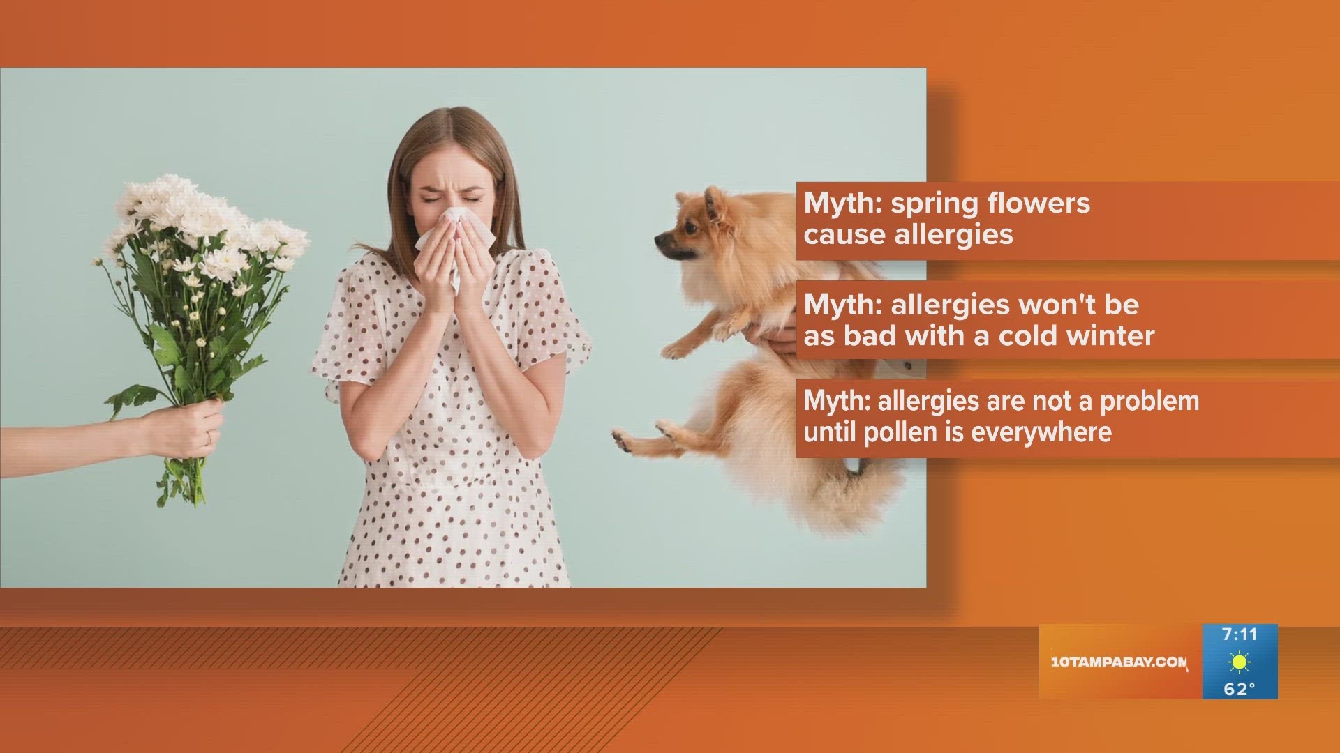 Springtime allergies affect 50 million Americans every year. Here's a breakdown of three allergy myths.