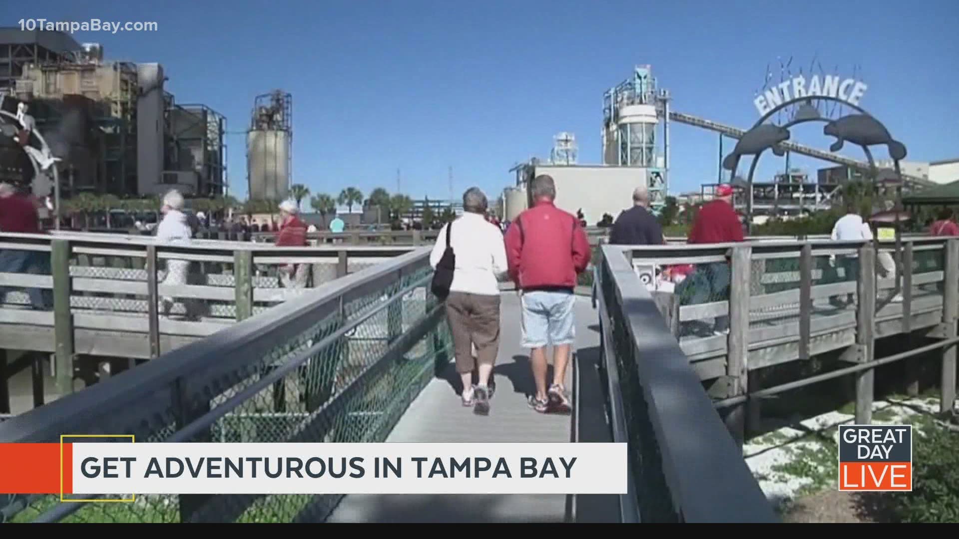 6 adventurous things to do in Tampa Bay!