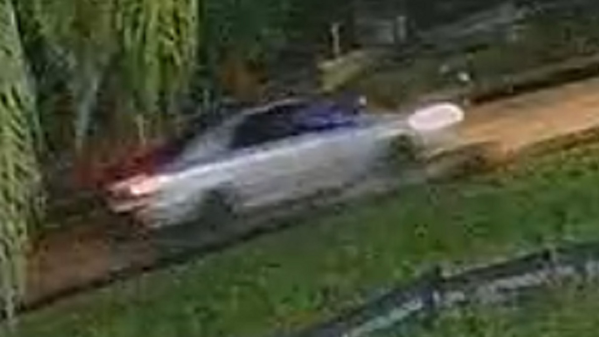 2 men caught on camera stealing large guns in Tampa | wtsp.com