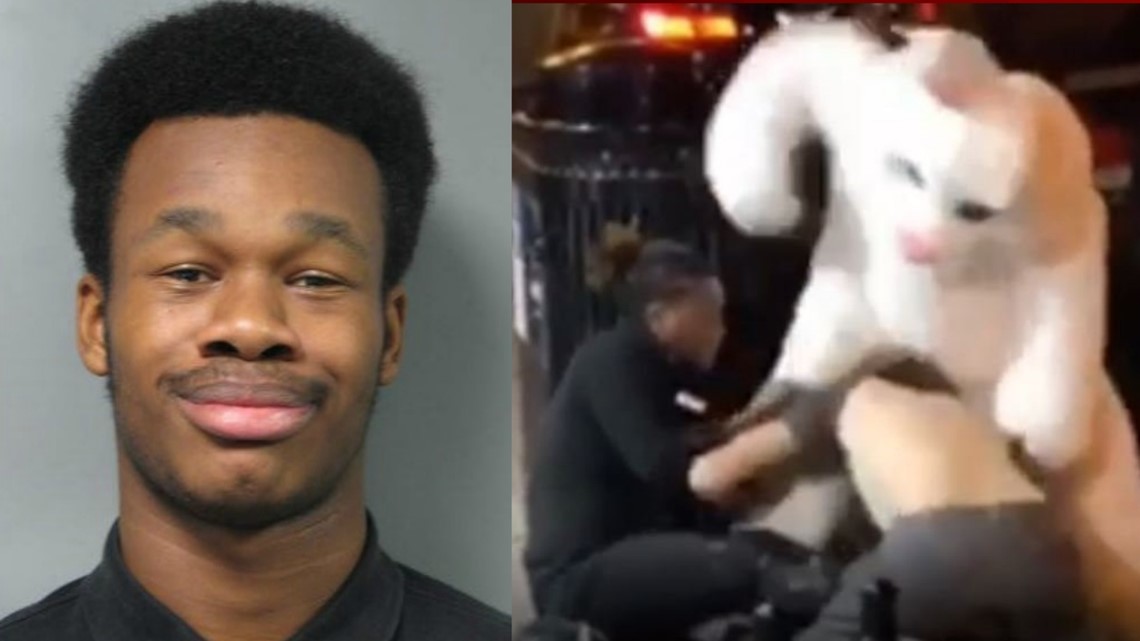 Florida Easter bunny arrested after hitandrun