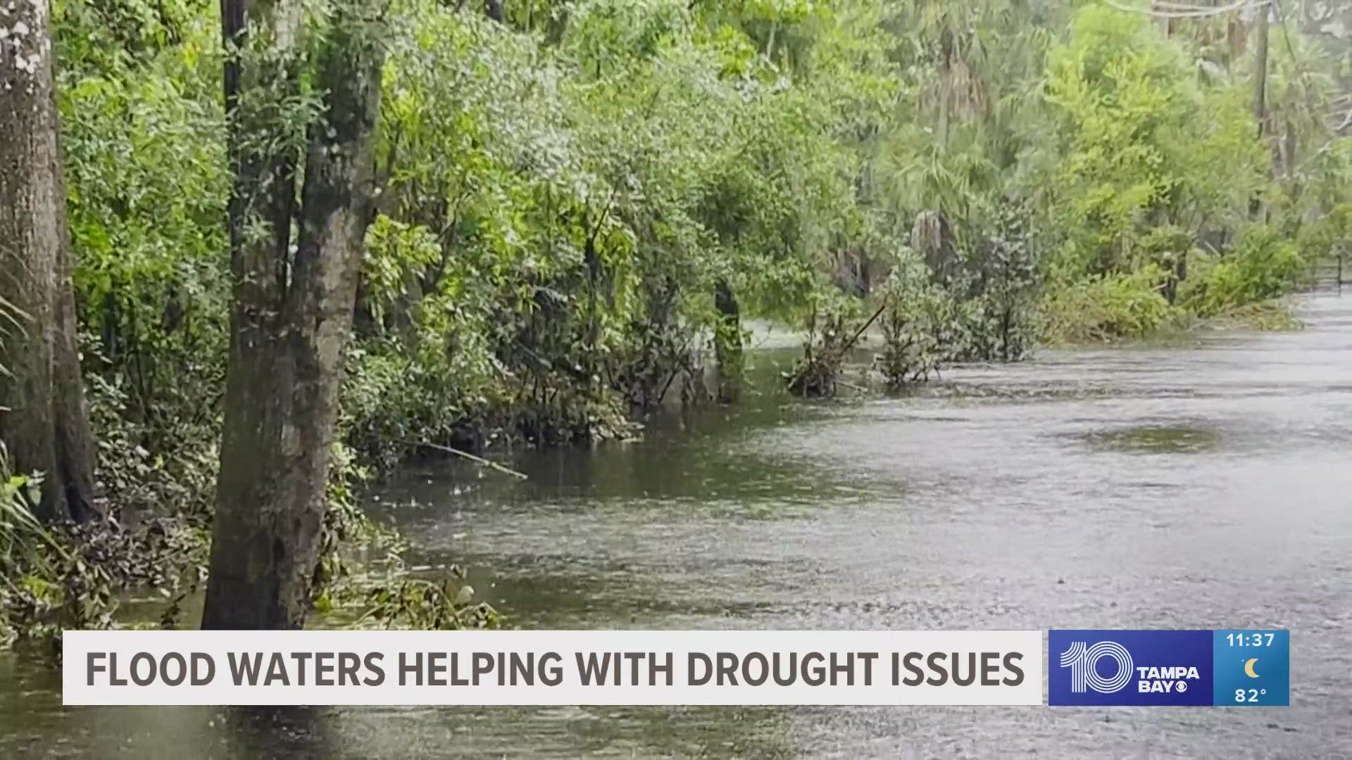 "We were able to harvest about 200 million gallons a day to put in the reservoir," Warren Hogg with Tampa Bay Water said.