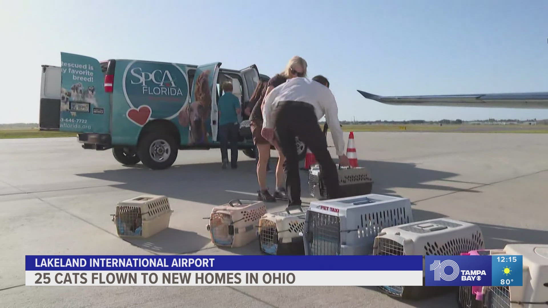 The cats are being taken to shelters in Ohio so they can be adopted into their forever homes while back in Florida the SPCA can rescue more cats without overcrowding
