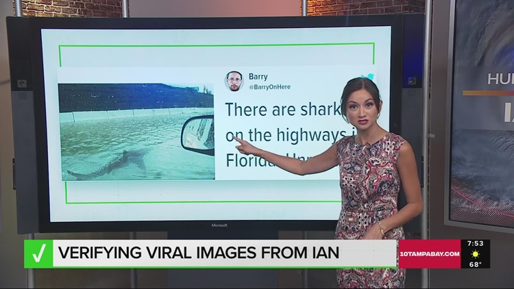 Verify: Real and fake videos and images from Hurricane Ian