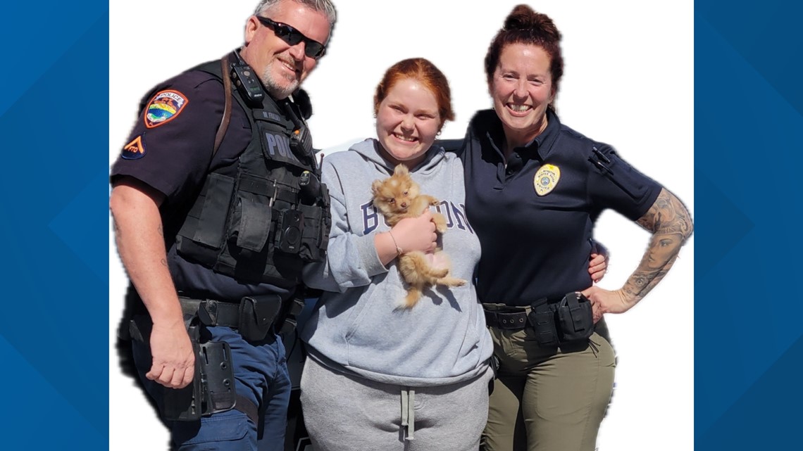 Pomeranian puppy found safe after stolen in parking lot - Vimarsana News