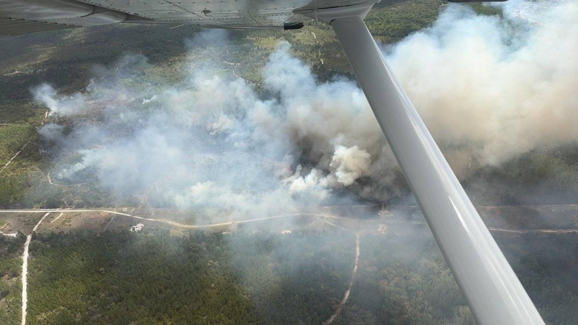 Florida wildfires: See map of current fires across the state | wtsp.com