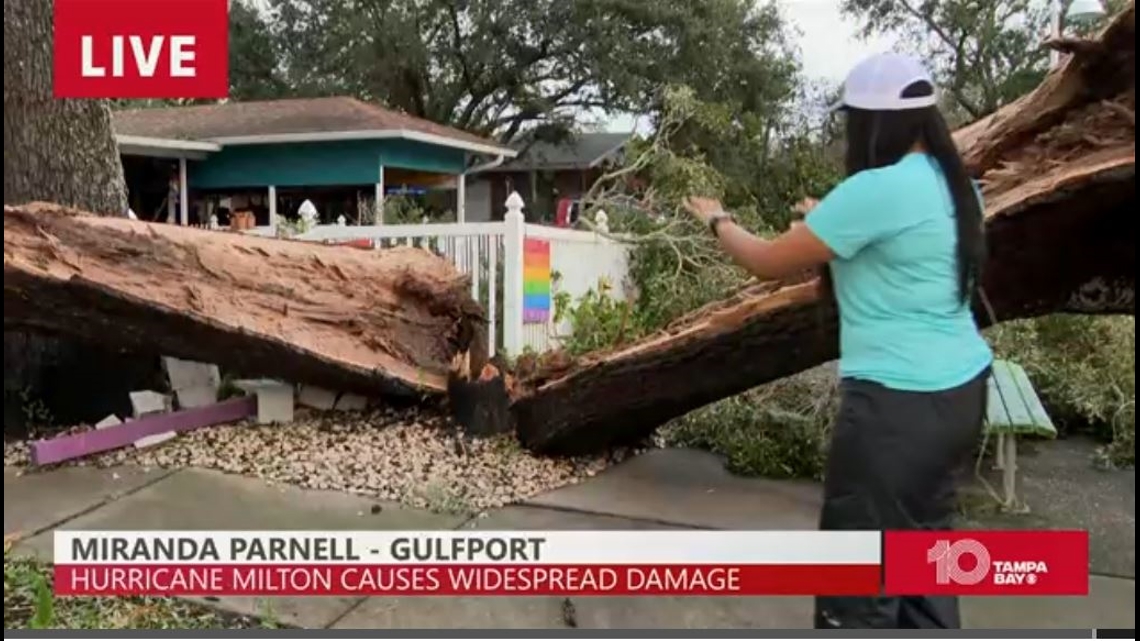 Gulfport Sees Split, Downed Trees After Milton | Wtsp.com