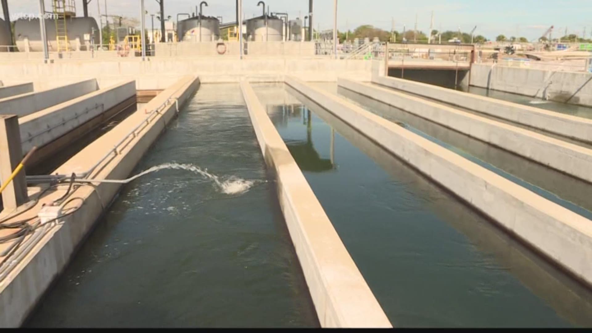 There are high levels of fecal bacteria in Largo's reclaimed water and no one knows what's causing the issue. https://bit.ly/2XFJysf