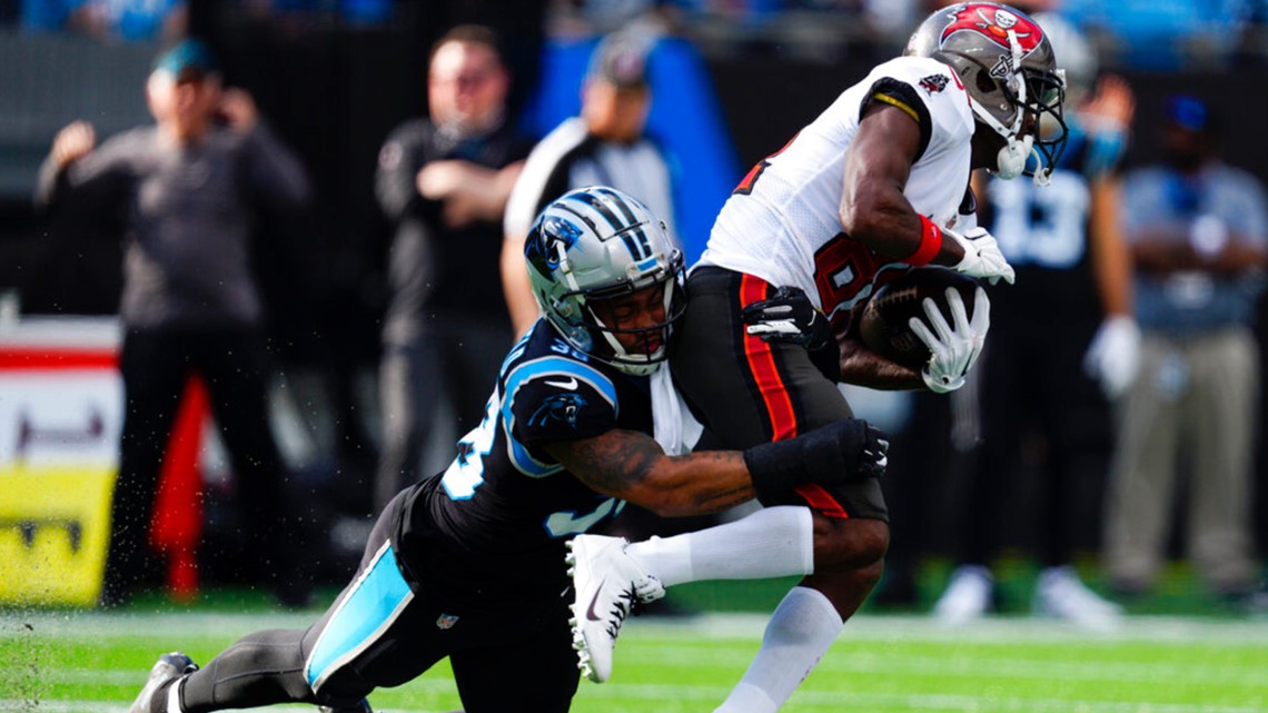 Brady, Bucs rally to beat Panthers 30-24, clinch NFC South - Hawaii  Tribune-Herald