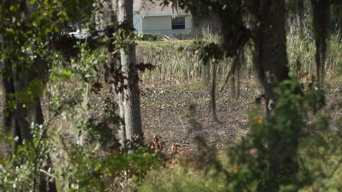 New watering schedules in place as drought continues across Tampa - Vimarsana News