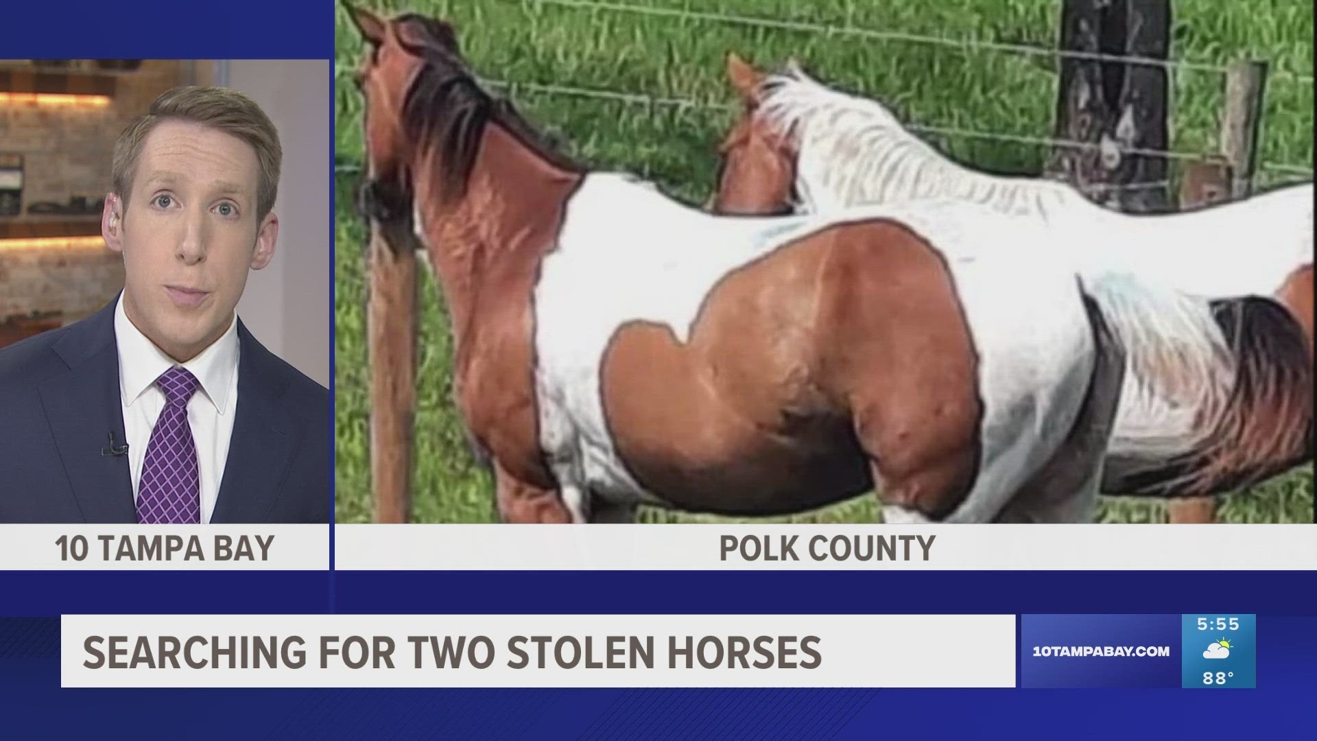 The stolen horses are reportedly Paint Tennessee Walking horses, one male and the other female.