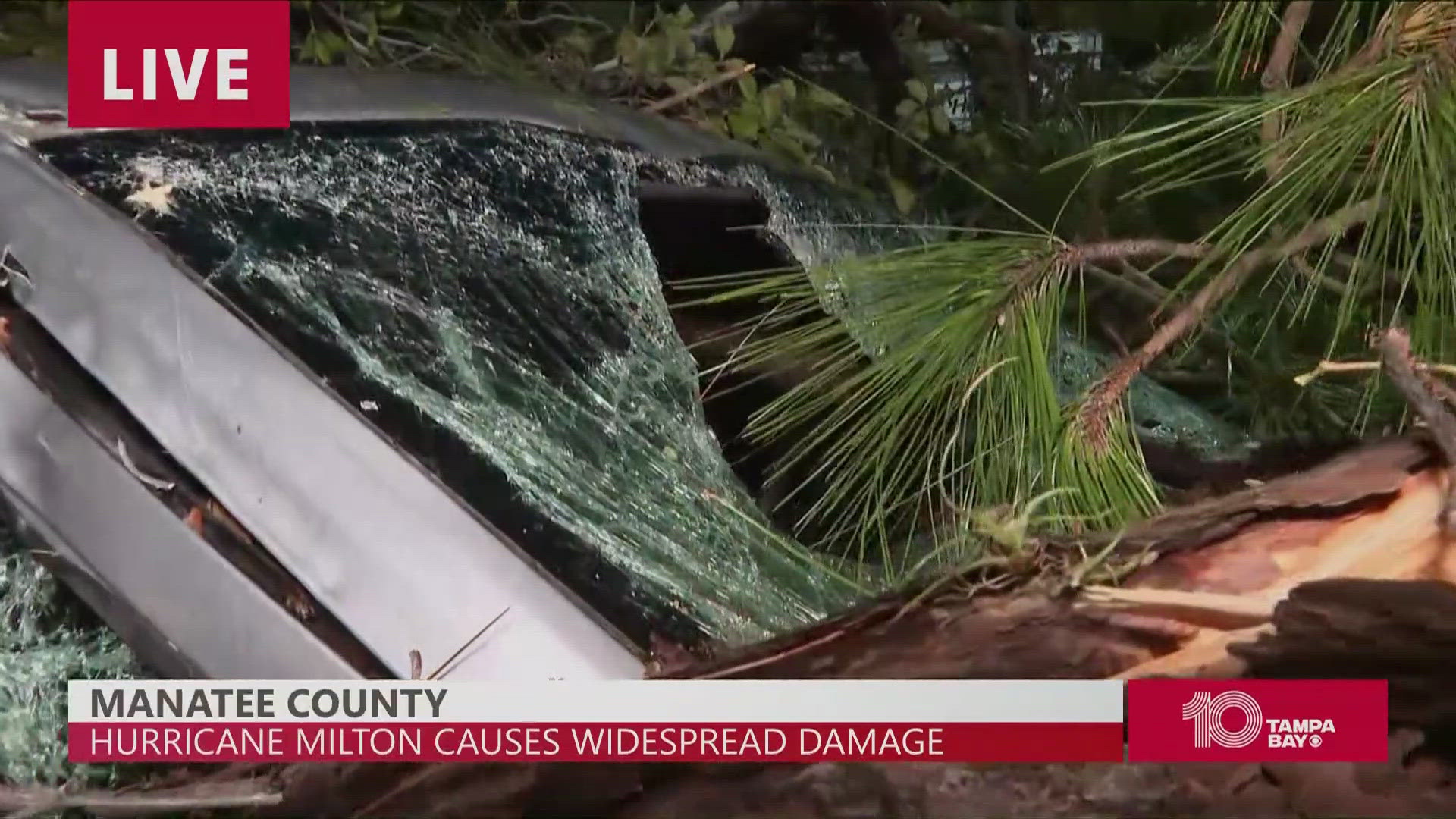 Hurricane Milton caused downed trees which damaged cars in Manatee County.