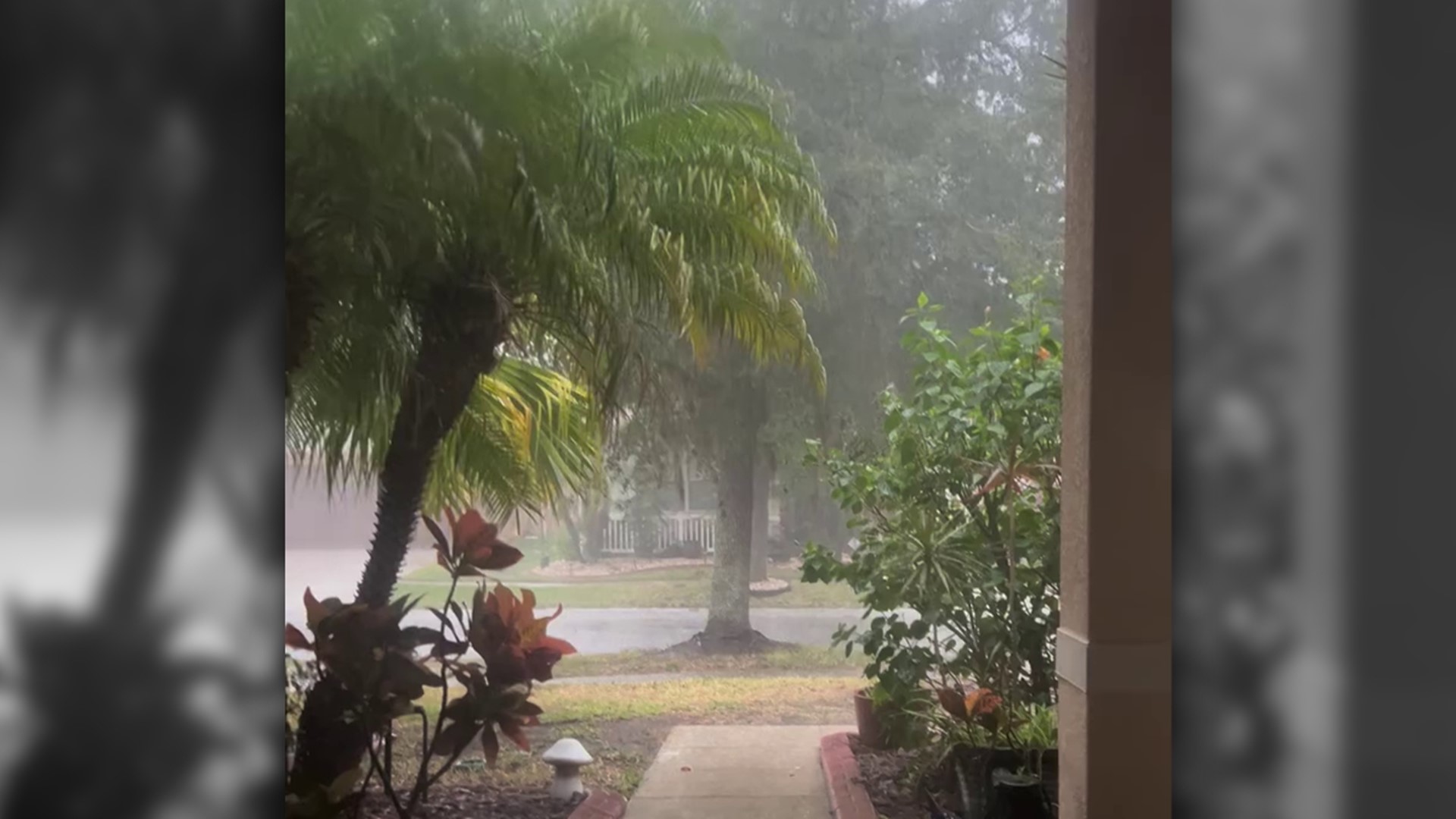 As rain falls on Tampa Bay, sidewalk chalk art melts away