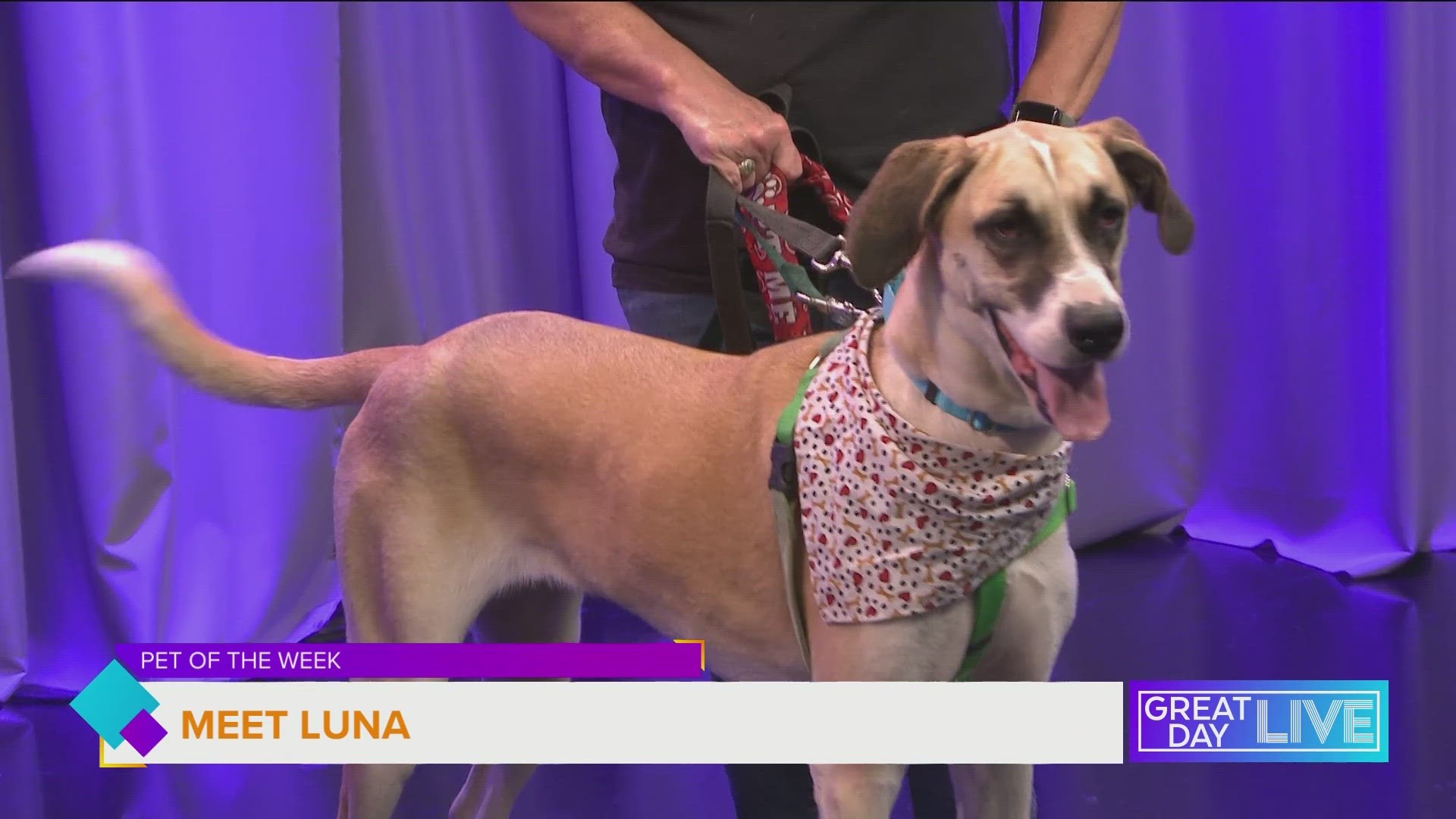 Pet of the Week: Luna