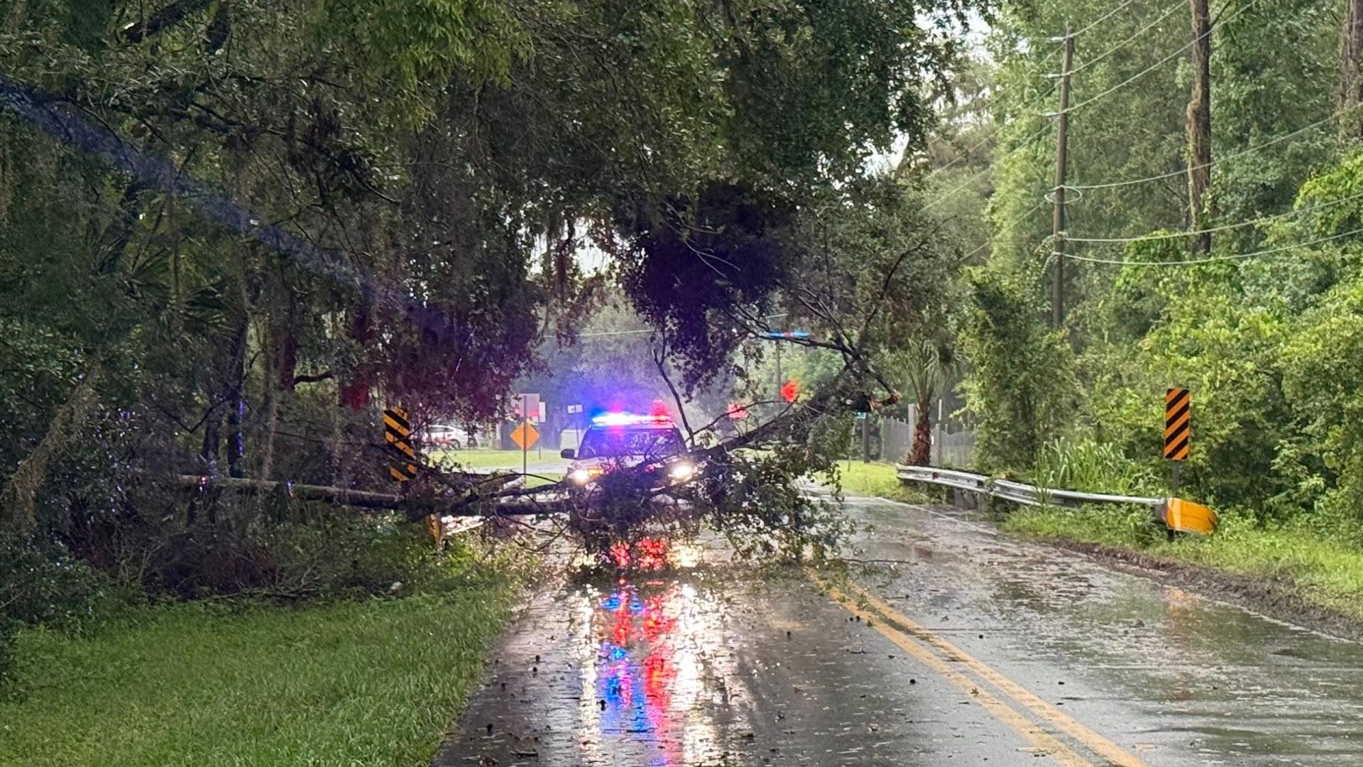Severe storms cause downed trees, house fire in Pasco, Hernando ...