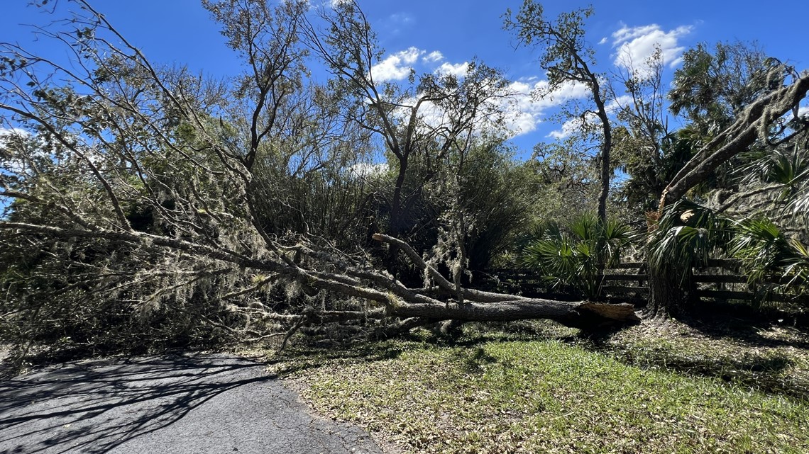 Hidden River community cleans up after levee break - Vimarsana News