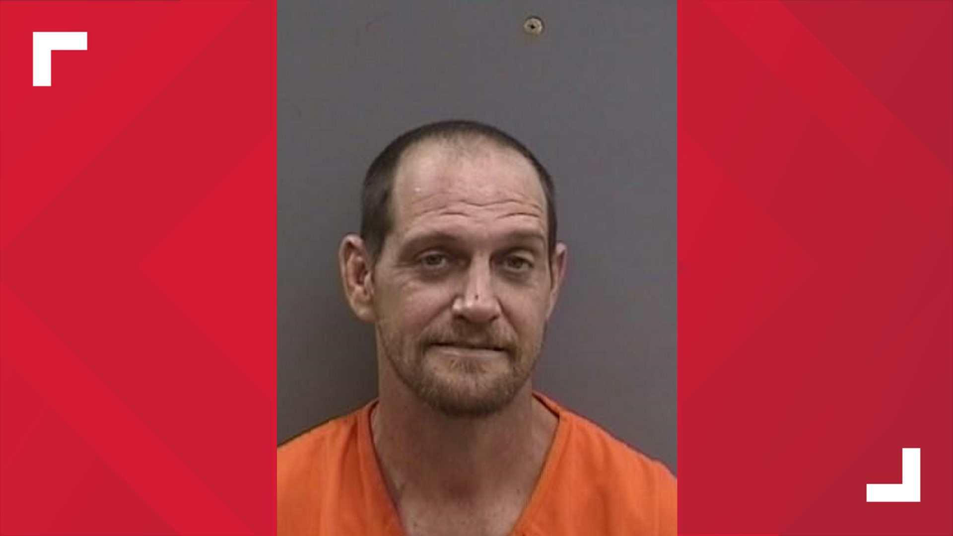 Florida man accused of stabbing woman, her dog with kitchen knife