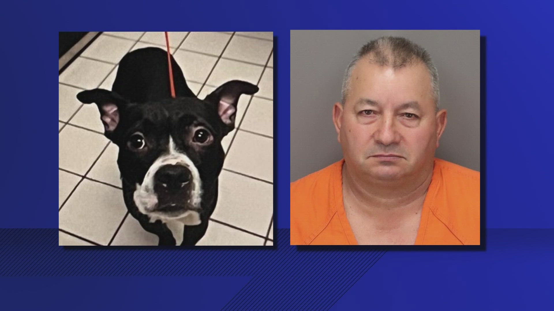 A man adopted a 4-year-old dog that was found decapitated days later. Now, his trial is starting and there's even a proposed law to in honor of the dog. 