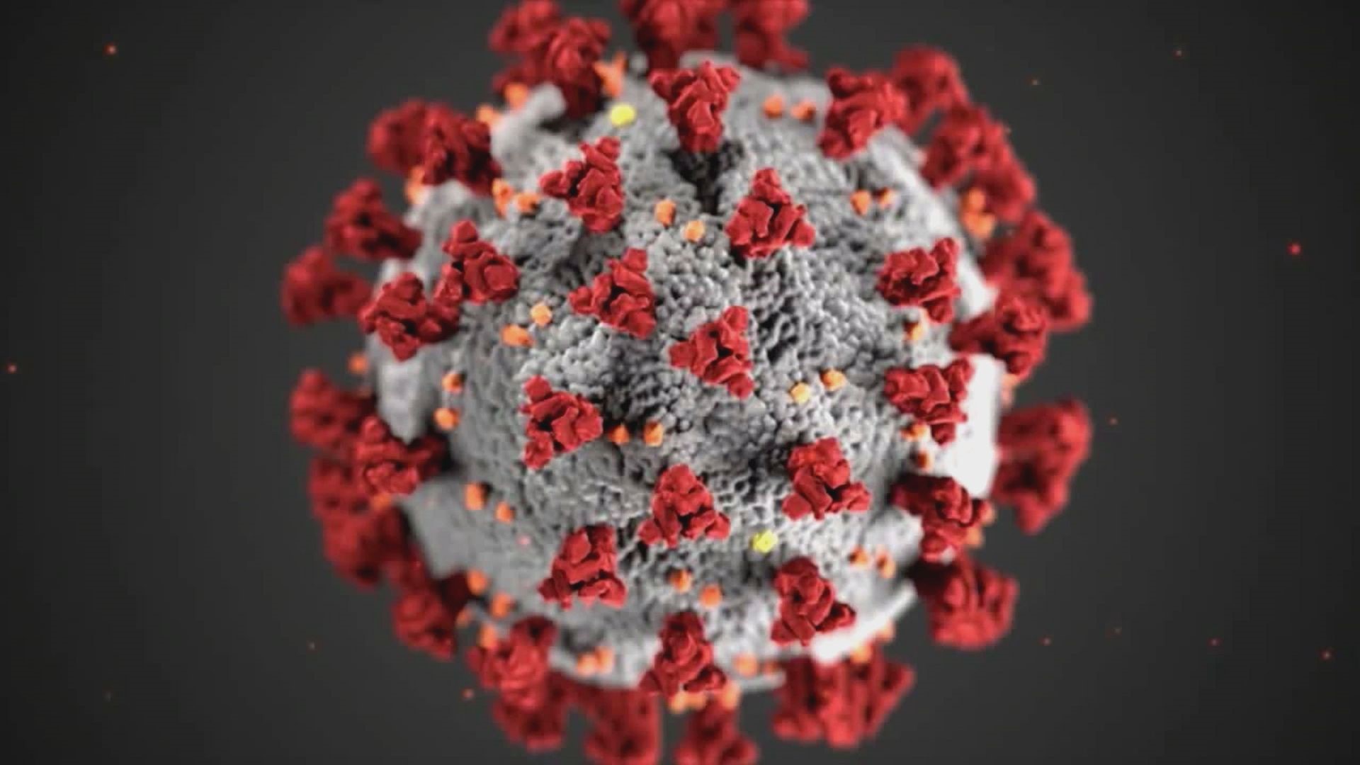 Doctor Aileen Marty, a Professor of Infectious Disease at Florida International University, says the virus survives differently at different temperatures.