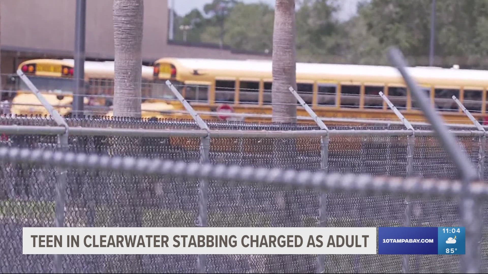 Clearwater police said 14-year-old Honor Walker had a "manifesto" that displayed intent to kill.