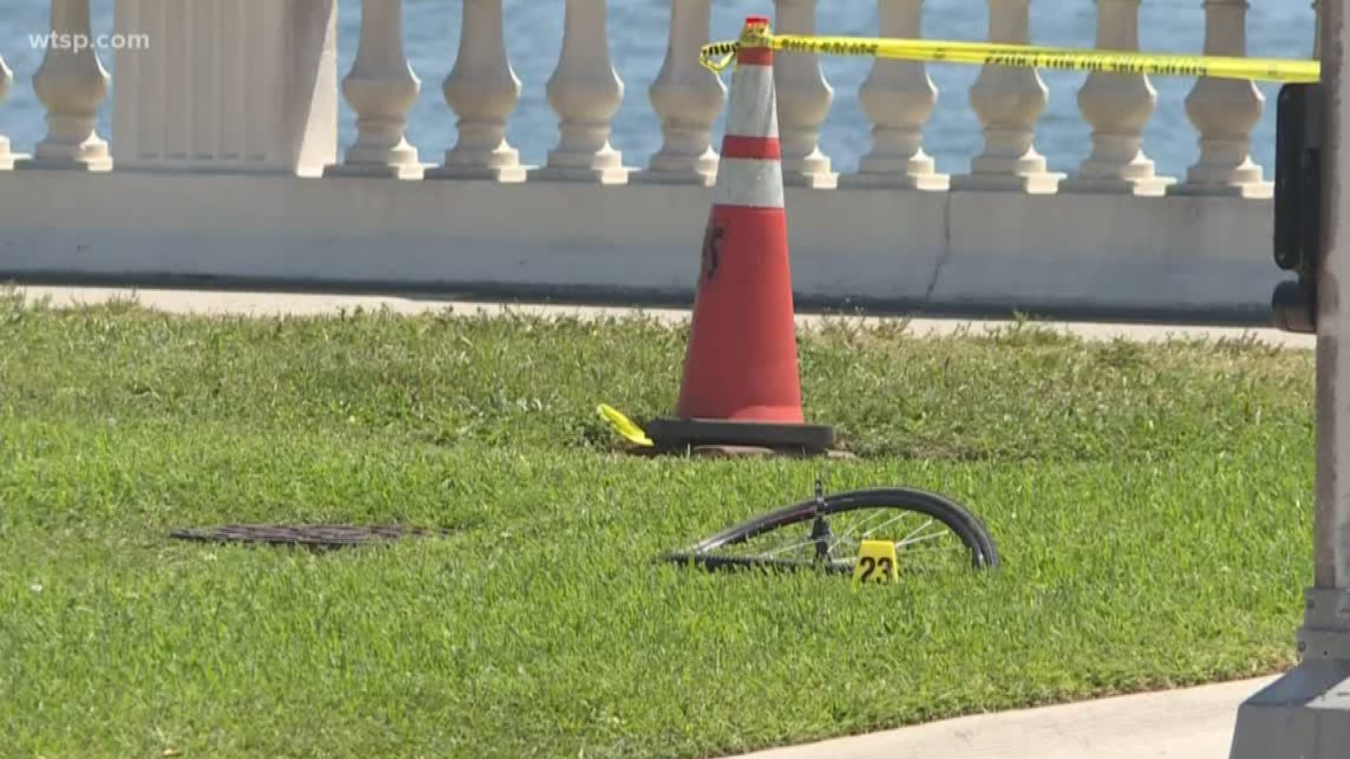 Two people died after a crash involving motorcyclists and a person riding a bike on Bayshore Boulevard in Tampa.