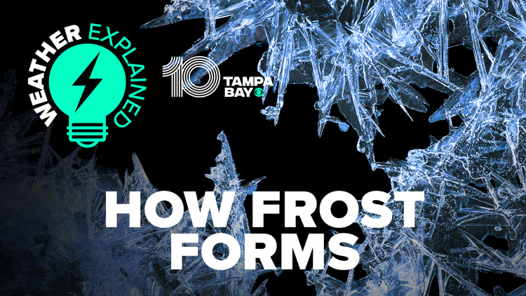 Frost in Florida: Here's how it can happen