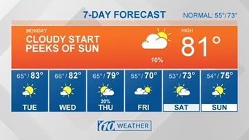 tampa mweather forecast