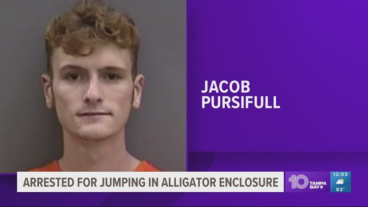 Police: Man who jumped into Busch Gardens alligator enclosure arrested