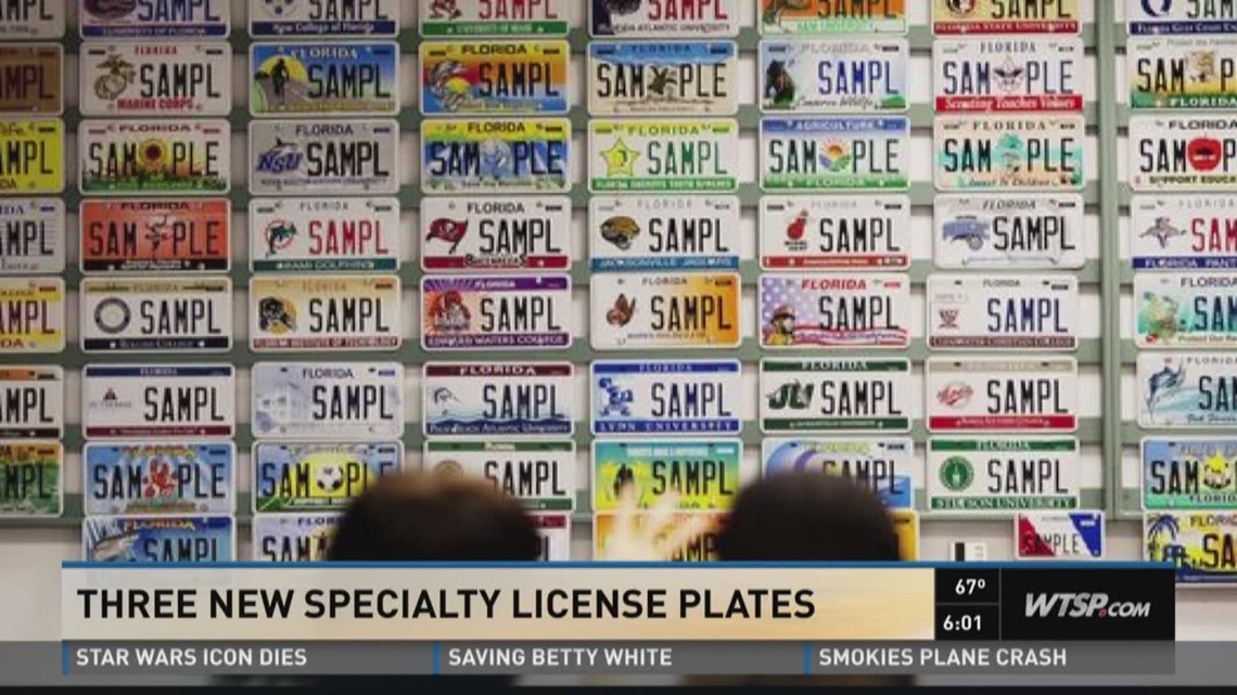 Florida Considers Adding More Specialty License Plates 