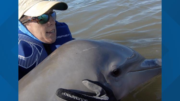 Rescuers cut off fishing lines wrapped around a dolphin's tail