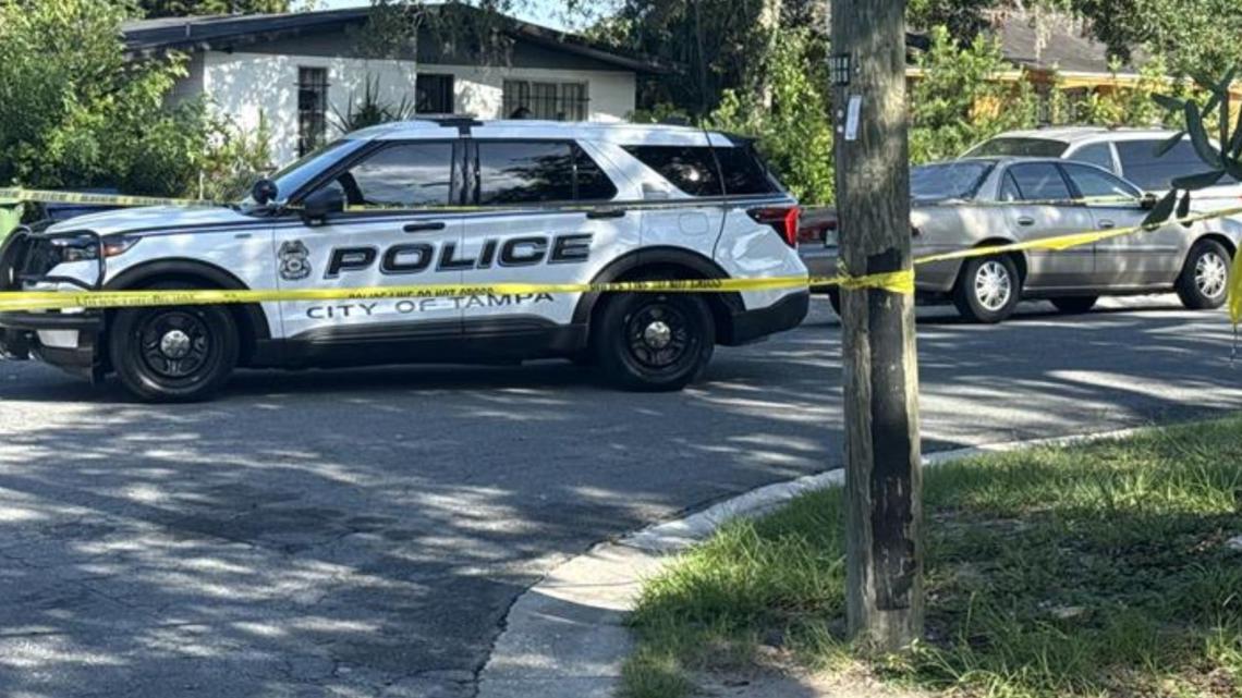 Man found dead in Tampa; murder investigation underway | wtsp.com