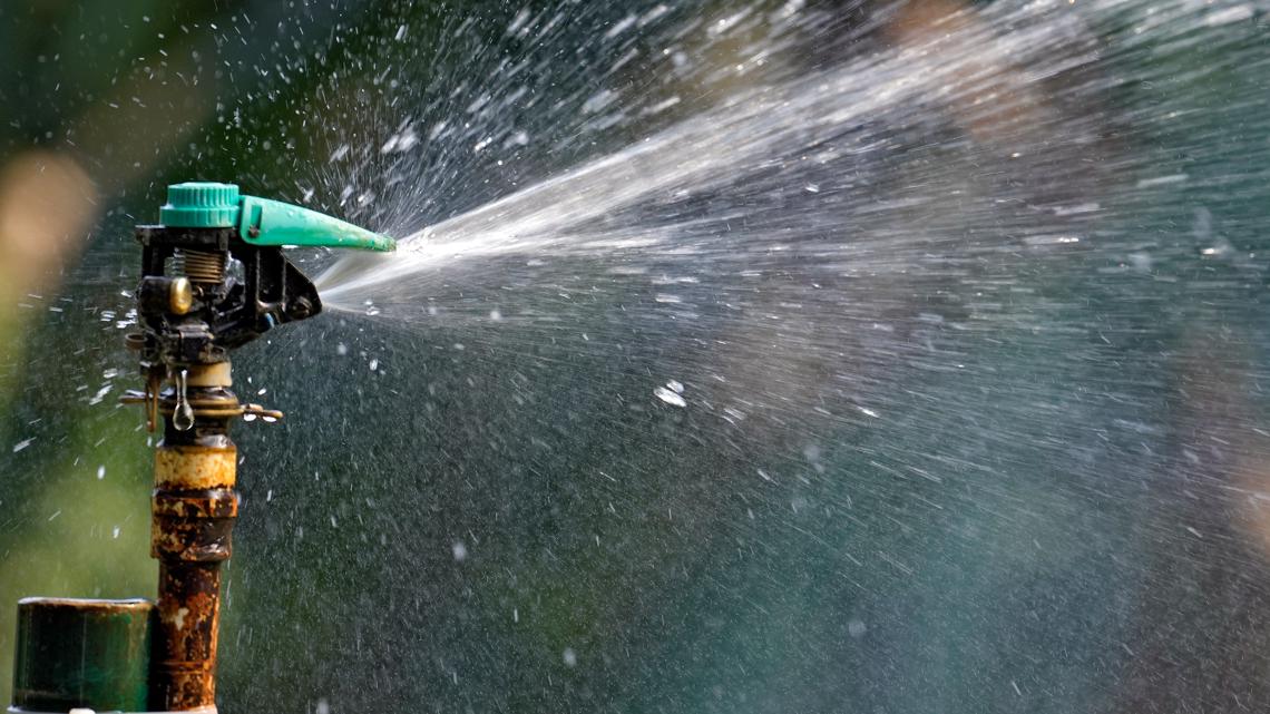 Tampa's new FLIP program can help you reduce water usage with Florida-native landscapes