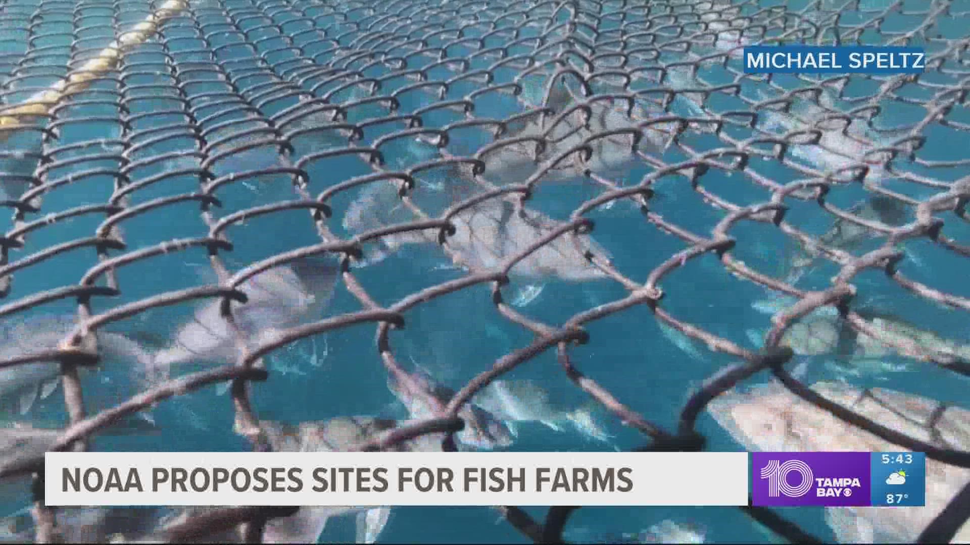 The EPA is revising the language for a fish farm permit near Venice, but there are other sites that could potentially turn into new fish farms in the Gulf of Mexico.