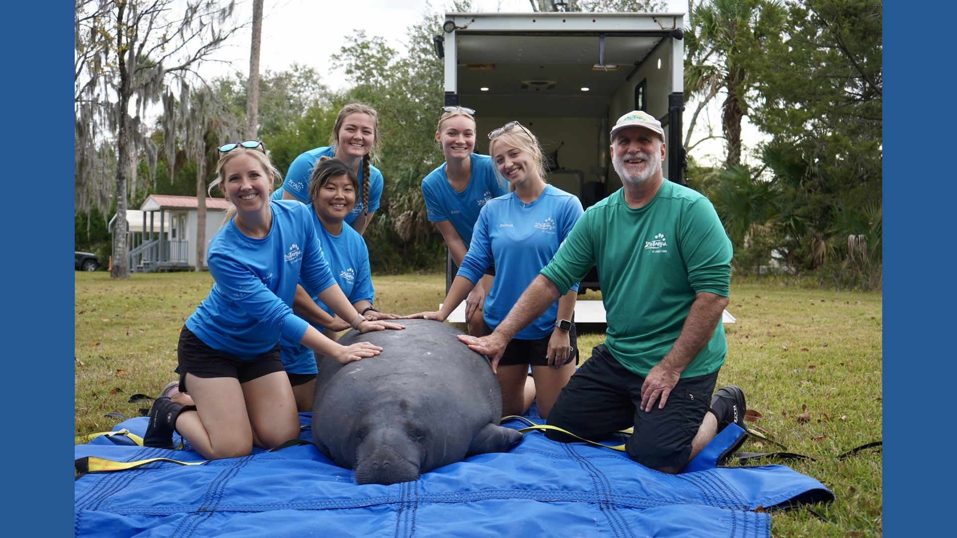 ZooTampa releases record number of rehabilitated manatees into Florida ...