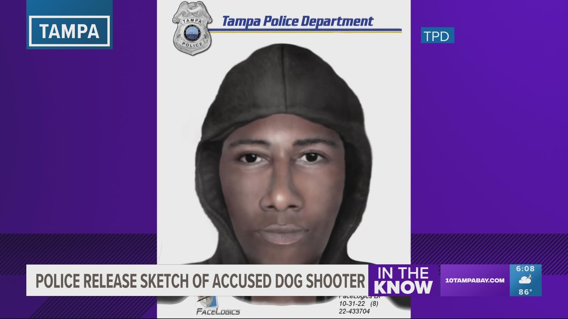 Tampa Police show sketch of person accused shooting, killing dog