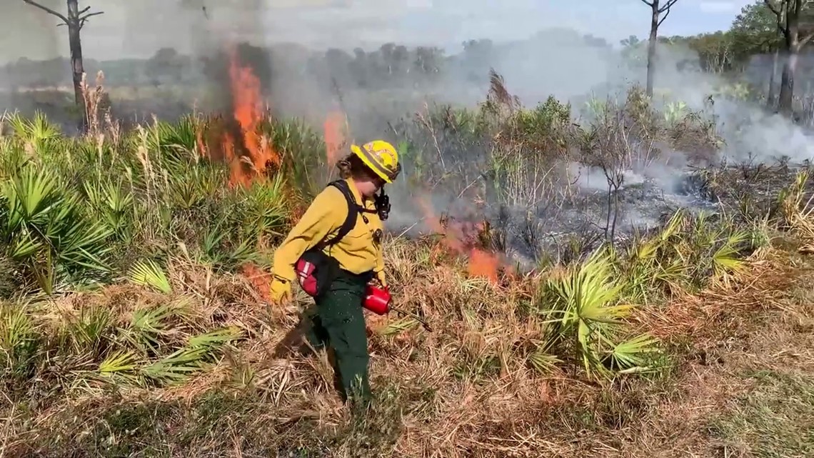 Sarasota County Fire Fest to show importance of prescribed burns - Vimarsana News