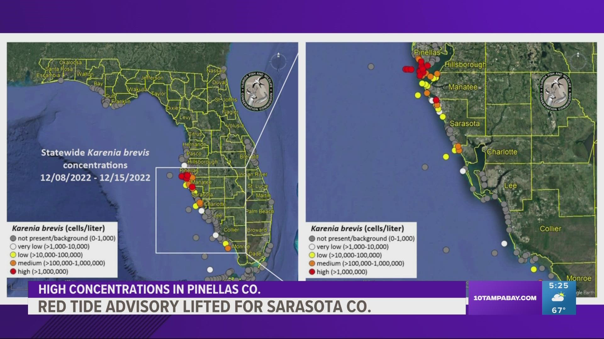 Red tide lingered in the Sarasota County area for more than one month.