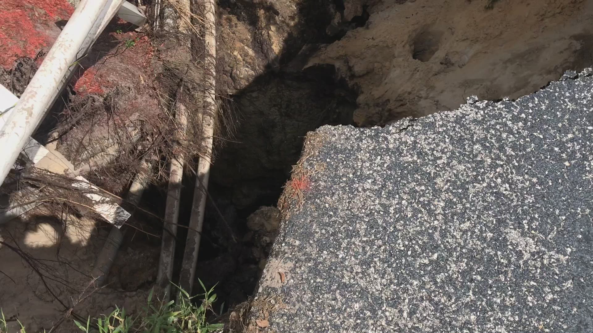 Suspected sinkhole in Pasco County forces bar to evacuate | wtsp.com